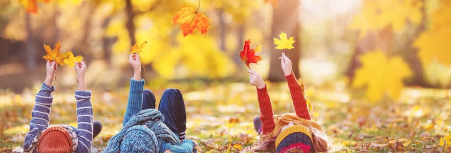 Aktivitäten für deinen Herbst in Pforzheim